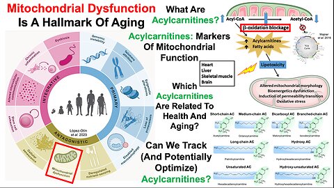 Acylcarnitines Increase During Aging, And Are Associated With Poor Health
