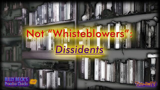 #30 Not "Whistleblowers" but Dissidents