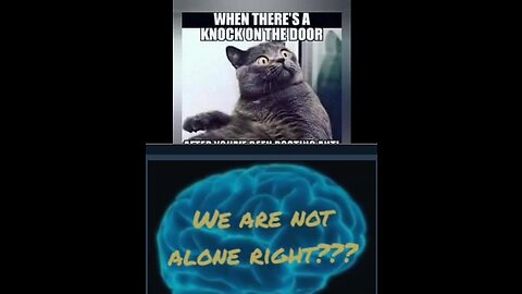 WE ARE NOT ALONE, RIGHT?? WAR FOR YOUR MIND, Episode 342 with HonestWalterWhite