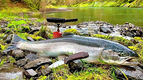 GIANT TROUT FISHING in PRISTINE WATERS (Steelhead Catch & Cook!!!)