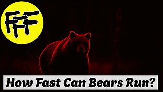 How Fast Can Bears Run?