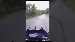 Almost hit a deer, and another deer on my motorcycle