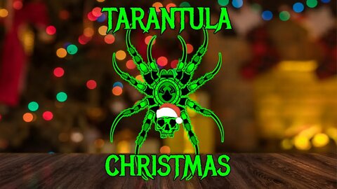 Tarantula Christmas Yule Log - Spiders, Snakes, Scorpions & More