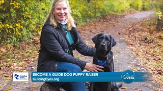 Be A Puppy Raiser // Guiding Eyes