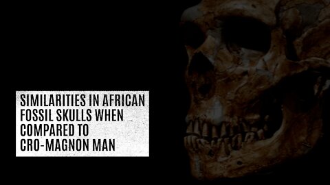 Similarities in African fossil skulls when compared to Cro-Magnon Man