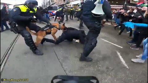 Compilation Police Violence Anti-lockdown Protest Amsterdam 02-01-22