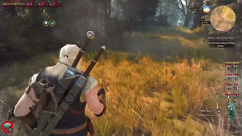 The Witcher 3 Next Gen PC Gameplay 4K HDR Ray Tracing RTX 4090 13700KF Mysterious Tracks