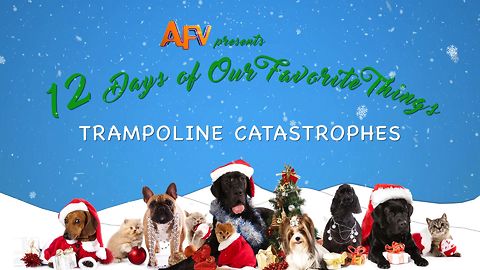 AFV's 12 Days of Christmas Trampoline Catastrophes