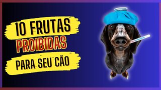 10 Frutas Proibidas Para Seu Cãozinho