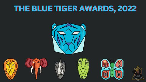 The Final Video of the Year!!!(I think) | Blue Tiger Awards: 2022
