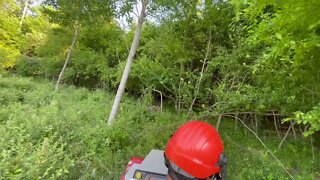 Ventrac 4500Y diesel with tough-cut mowing a small slope.