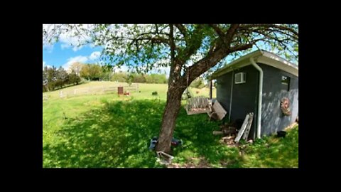 Middle Tennessee Sunday Morning By The Birdfeeder 360° VR 🥽🦅