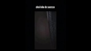 [ MEME ] SINTA O CHEIRO DO SUCESSO AGORA MESMO [ MUITO ENGRAÇADO VIDEO VIRAL 2021 ] VOCE VAI RIR D+