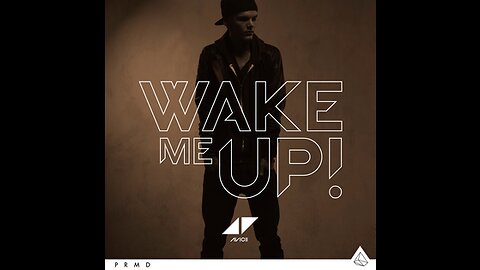 Avicii's Musical Journey: Wake Me Up