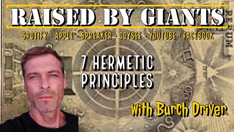 7 Hermetic Principles with Burch Driver