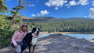 Colorado mother uses her breast cancer diagnosis to reinvent her life
