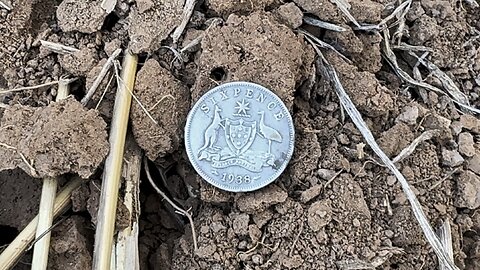 Coat Of Arms Sterling Silver Metal Detecting