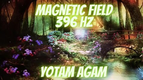 #MagneticField Yotam Agam