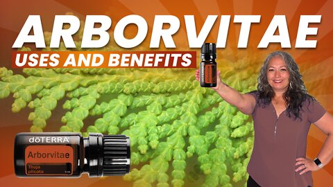 How to Use Arborvitae Essential Oil | Uses and Benefits