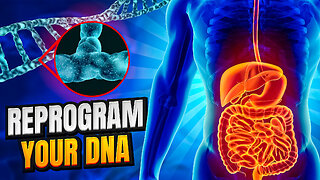 How DNA affects your Wellbeing + How to Transcend your Genes with Genetic Insights | Episode 10