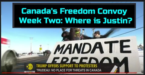 As the Canadian Freedom Convoy Enters Week Two the Discussion Shifts to Justin Trudeau's Leadership