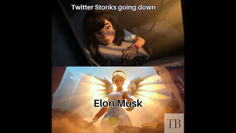 Best Elon Musk Memes/TikToks of 2022