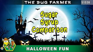 Beehive Feeding: Comparing Sugar Syrup, Honey, and sugar with anise. Feeding and robbing.
