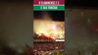 FLUMINENSE E SUA TORCIDA #shorts