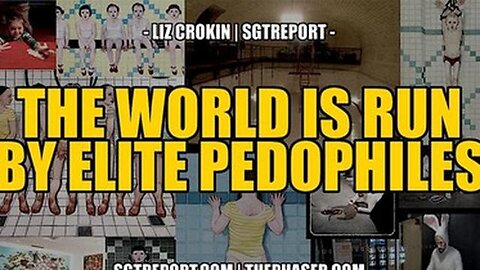 THE WORLD IS RUN BY ELITE PEDOPHILES -- LIZ CROKIN