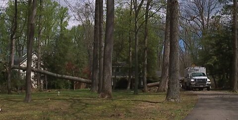 One dead, another seriously injured after tree crashes into home in Annapolis