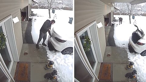 Sneaky moose circles back to scare casual homeowner
