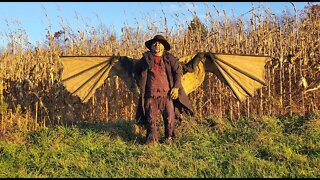 Jeepers Creepers Halloween Costume 2019