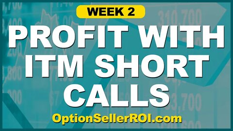 Week 2 Using OptionSellerROI.com - Wheel Strategy During a Red Week!