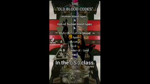 Secrets of the Blood Codes