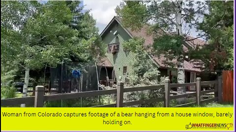 Woman from Colorado captures footage of a bear hanging from a house window, barely holding on.