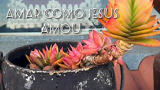 🌸Jardim de Louvor-17-(Amar como Jesus amou)🌸