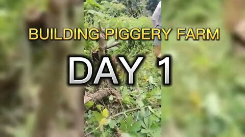 BUILDING PIGGERY FARM Day 1: PAGTATABAS SA NABILING LUPA // Katas ng Taiwan - Aron Sedanto