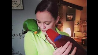 Man accused of stealing parrot
