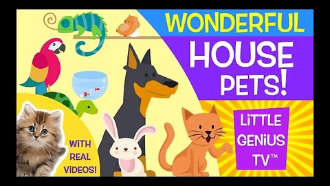 House pets ! Videos for babies toddlers kids