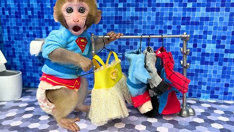 Cute little Monkey's getting dressed up by their owner 😍