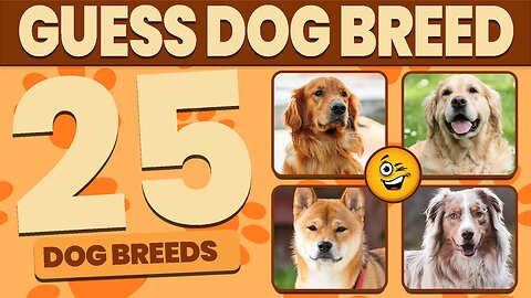 Guess The Dog Breed | Dog Breed Quiz 🐶✅🤔 Labrador Retriever, German Shepherd, Golden Retriever
