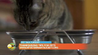 Pet Talk Tuesday – Thanksgiving tips for pets