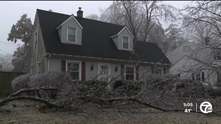 Areas of Ann Arbor among hardest hit by the storm