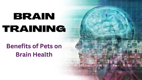 5 Ways Having a Pet Improves Our Brain Health!!