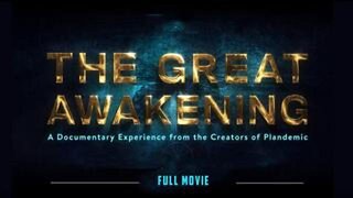 PLANDEMIC 3: THE GREAT AWAKENING - by Mikki Willis