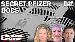 Secret Pfizer Docs with Amy Kelly and Dr. Chris Flowers | MSOM Ep. 699