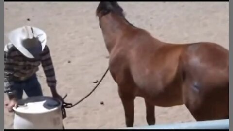 David Archer Says You Can't Ride A Horse In A Rope Halter - I Disagree & Explain Why