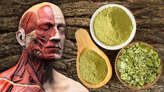 Moringa: 10 Reasons Why You Need This Superfood