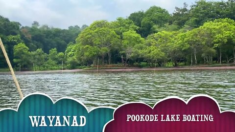 Wayanad Pookode Lake #youtubeshorts