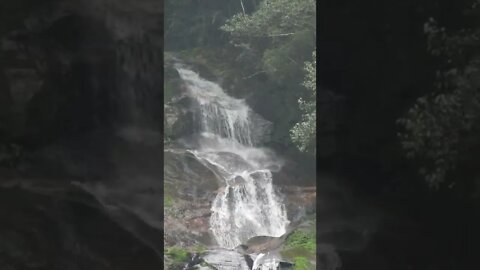 Waterfall in Tijuca National Park
